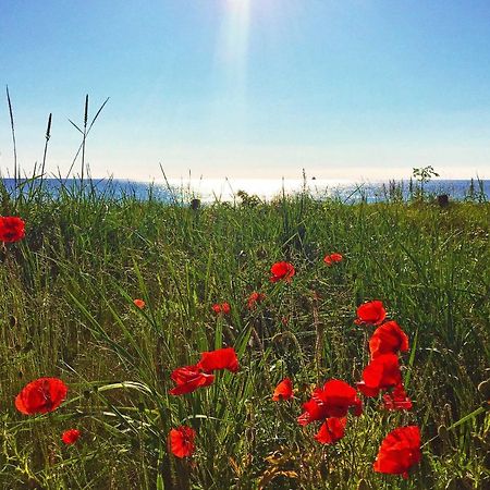 Strandresort Prora - Wg 114 Mit Meerblick Binz Εξωτερικό φωτογραφία