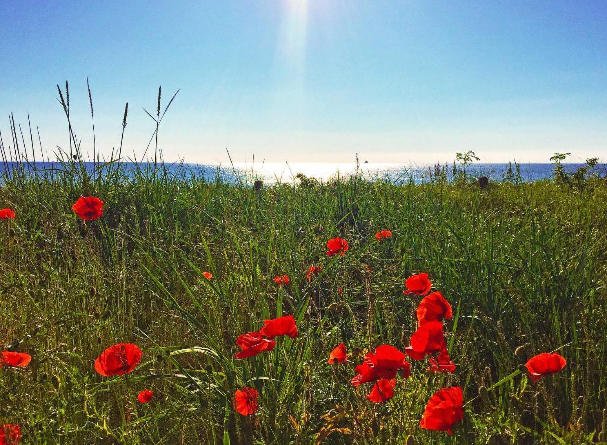 Strandresort Prora - Wg 114 Mit Meerblick Binz Εξωτερικό φωτογραφία